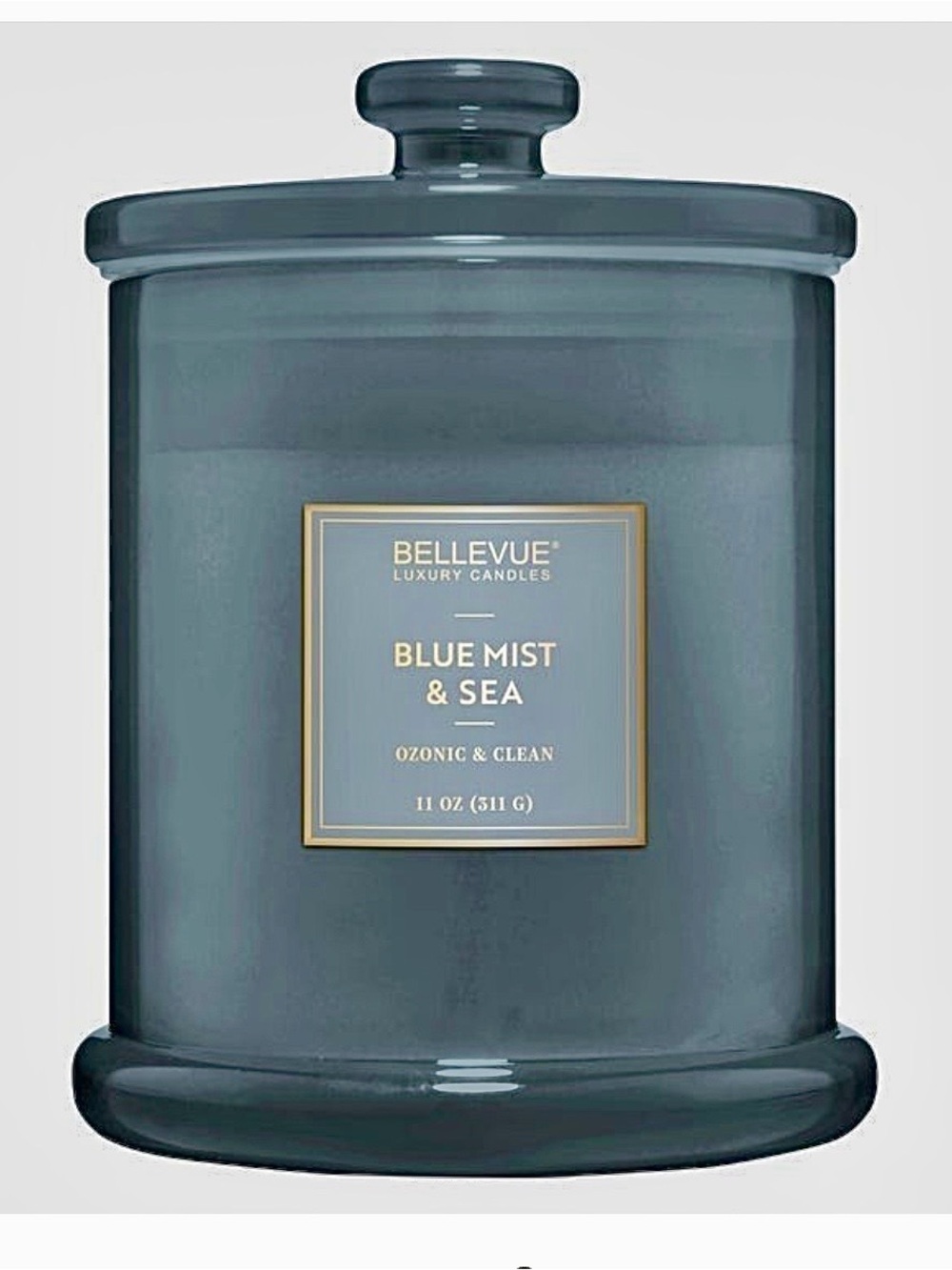 Bellevue Luxury 11 oz. Soy Double Wick Candle BLUE MIST & SEA